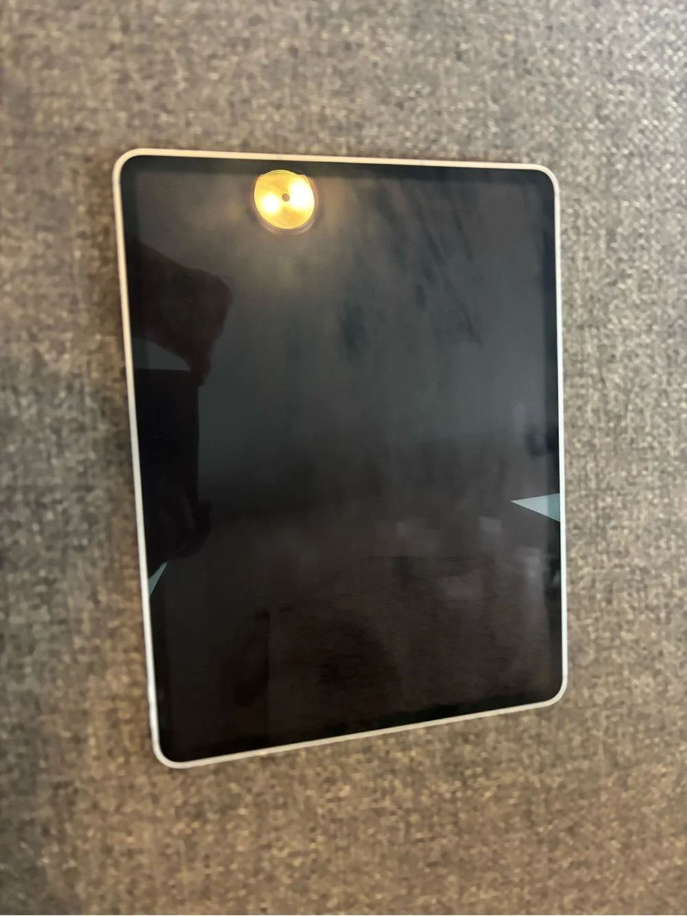 Apple Silver iPad Pro - Space Gray Apple Logo